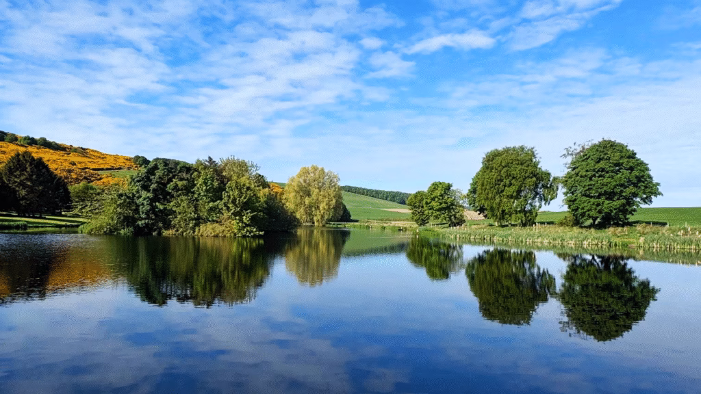 Summer Days at Wormit Trout Fishery - Tourist Attraction near Dundee
